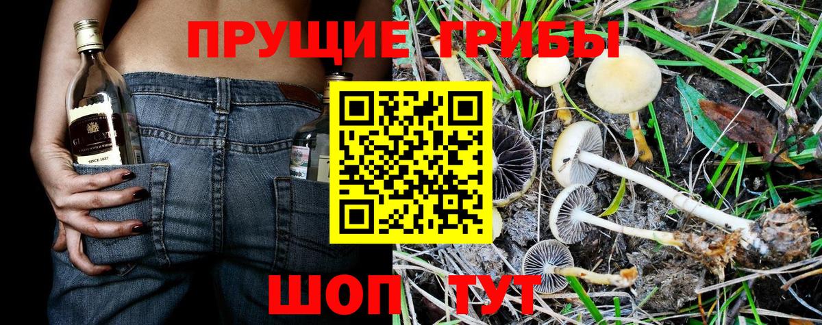 Галлюциногенные грибы прущие грибы Новошахтинск
